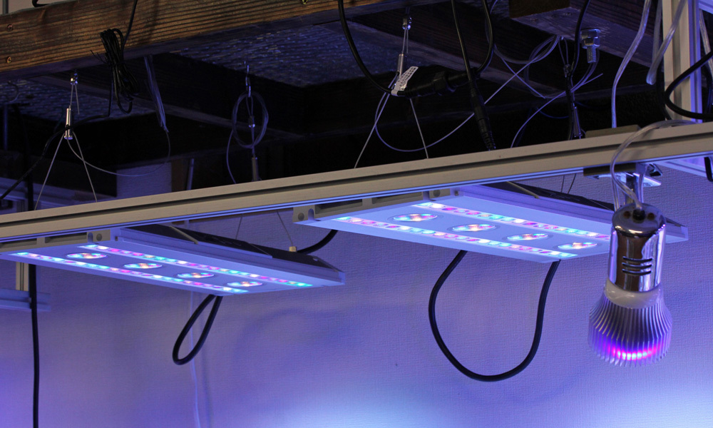 スペクトラ SP200 ブラックモデル SPECTRA ③ 【公式通販】