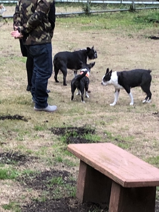 b0369239_22544569.jpeg
