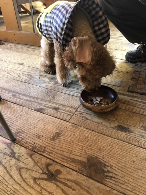 b0369239_22553884.jpeg