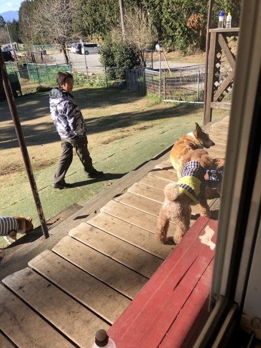 b0369239_22581221.jpeg