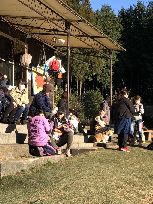 b0369239_22582469.jpeg
