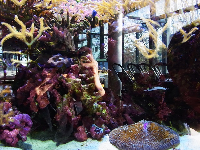 a0087341_20141415.jpg