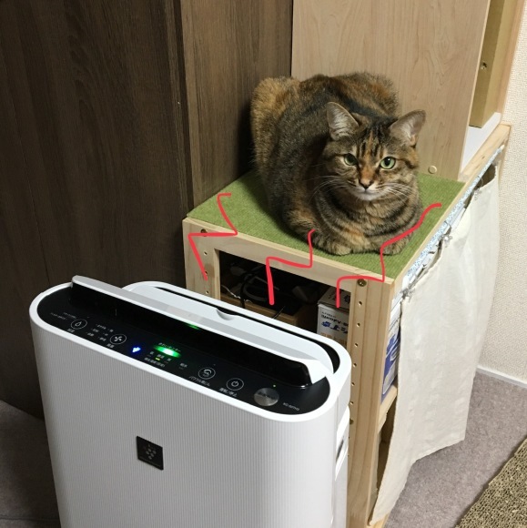 f0372445_06330560.jpeg