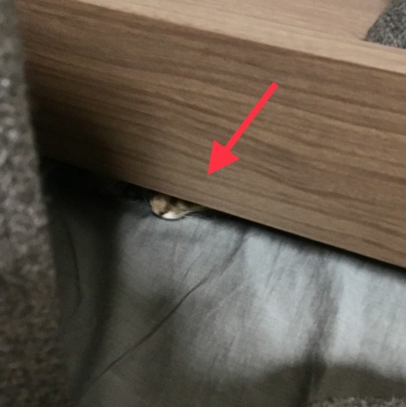 f0372445_16520798.jpeg