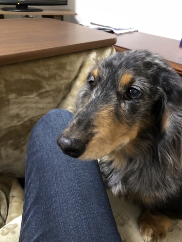 b0341471_13331861.jpeg