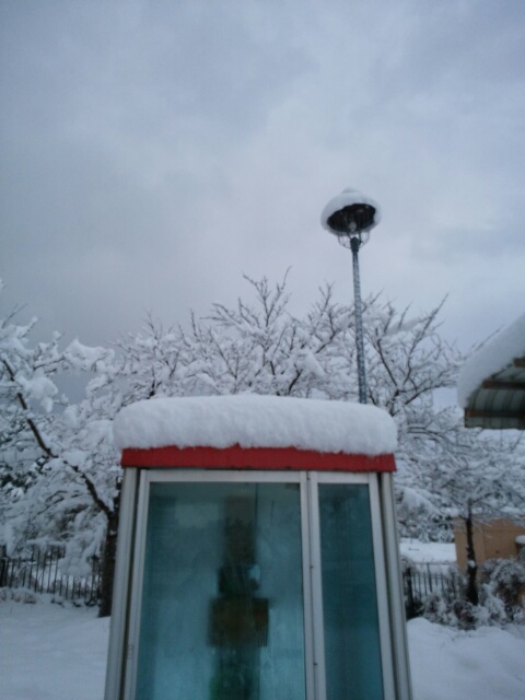 f0200871_8275039.jpg