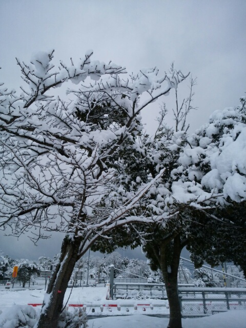 f0200871_8275073.jpg