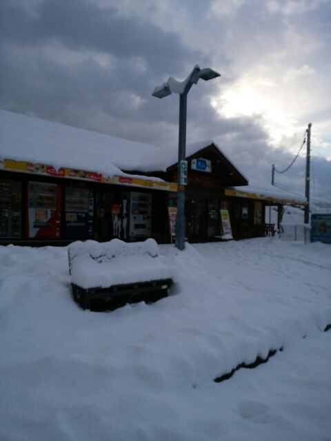 f0200871_8275146.jpg