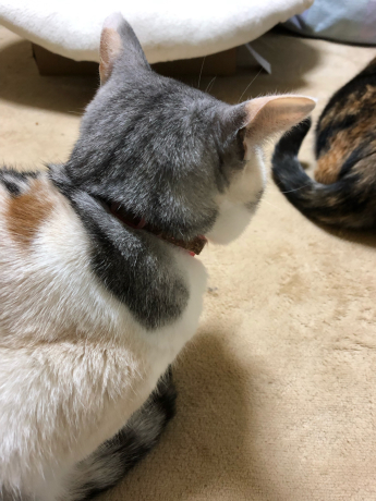 締めましてありがとう_e0355177_18432397.jpg