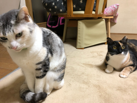 締めましてありがとう_e0355177_18432449.jpg