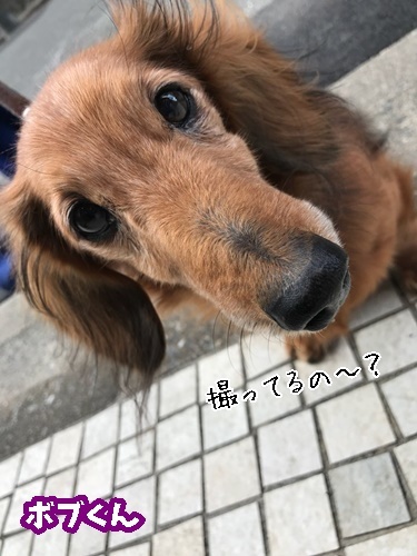 お泊り頑張ります♪_f0357682_20254245.jpg