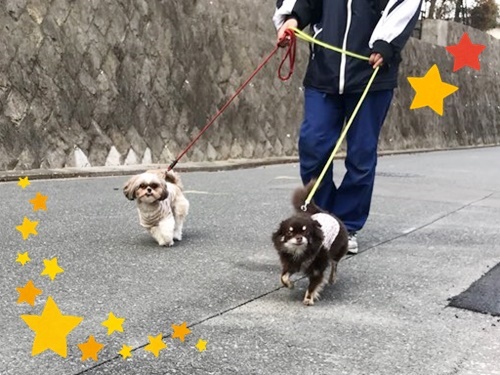 お泊り頑張ります♪_f0357682_20254267.jpg