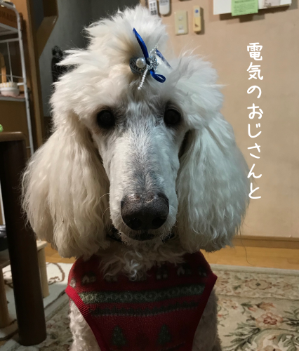 a0216583_23380044.png