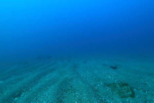 f0151886_17104515.jpg