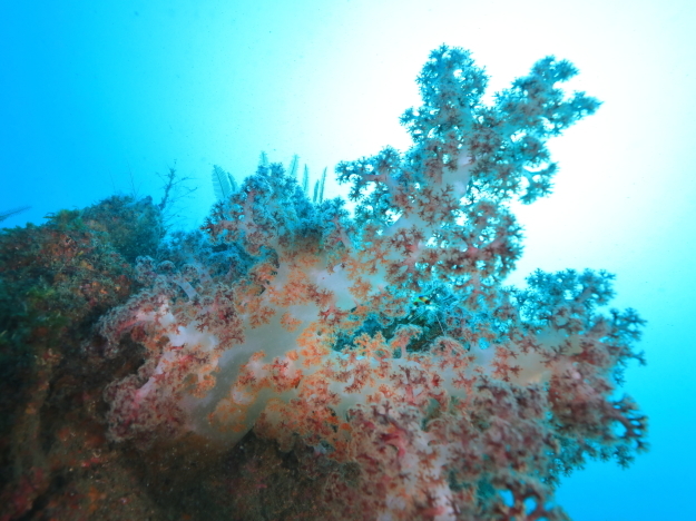 f0151886_17104516.jpg