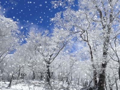 f0357487_21484134.gif
