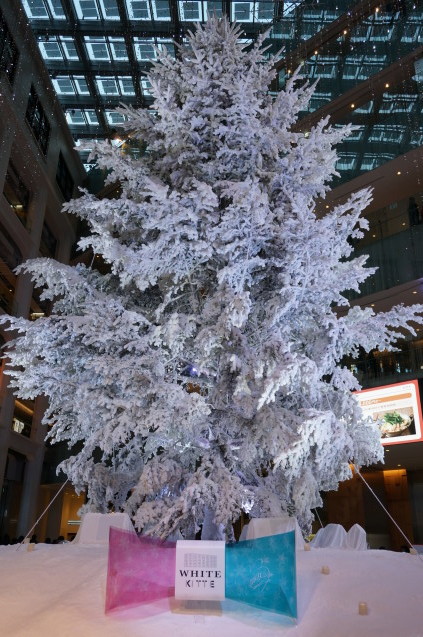 b0178388_19462996.jpg