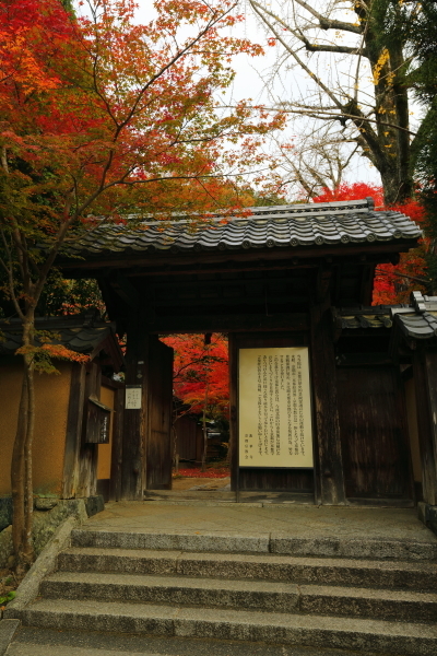 蓮華寺_e0051888_00482001.jpg