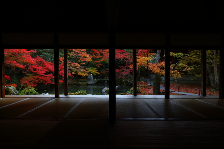 蓮華寺_e0051888_00493330.jpg