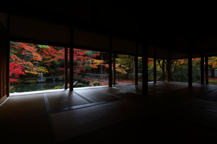 蓮華寺_e0051888_00493807.jpg