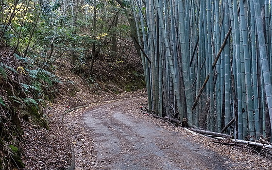 e0176993_17543288.jpg