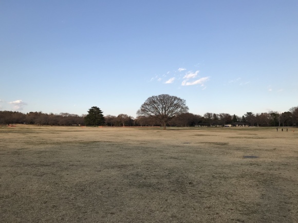 香りに誘われて。_a0155999_15395435.jpeg