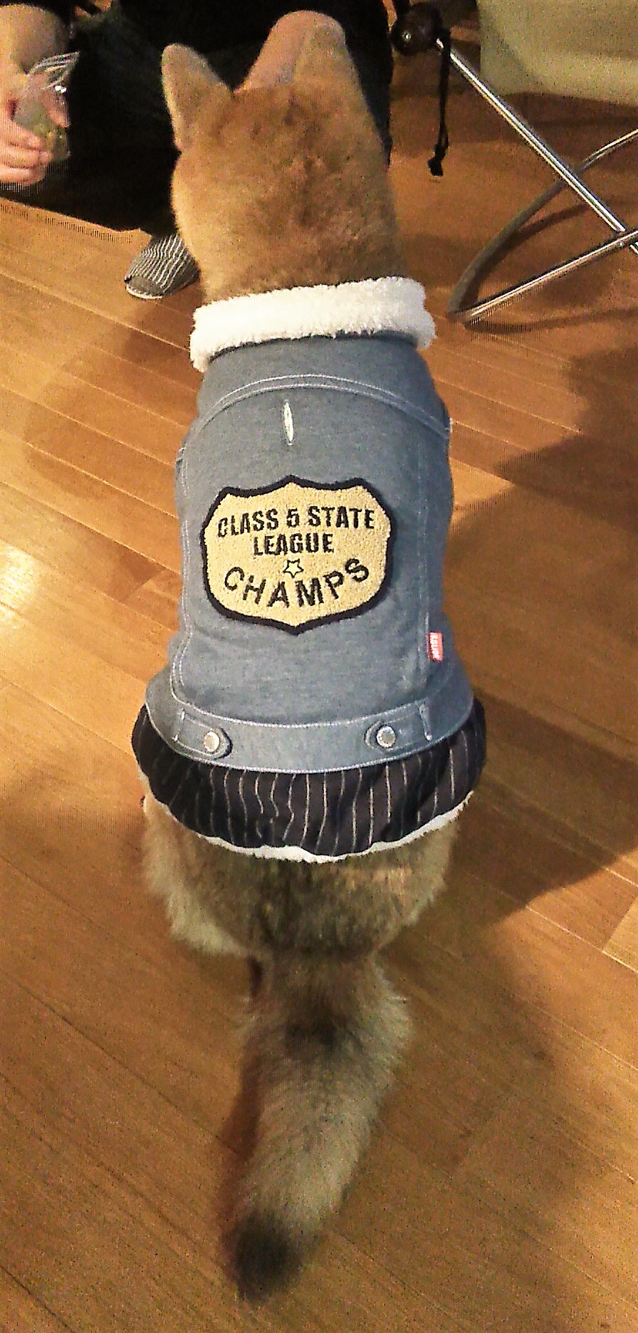 c0221299_10524874.jpg