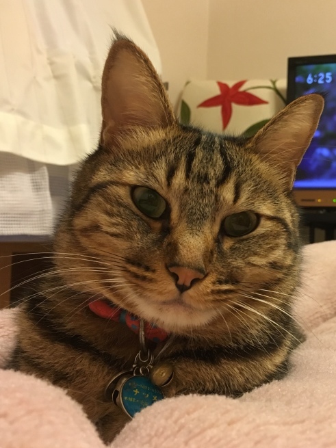 c0362401_13251782.jpeg