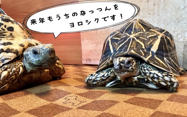 c0362401_14382050.jpeg