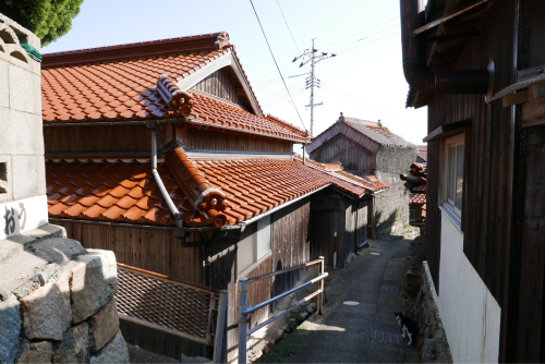 d0147406_20595810.jpg