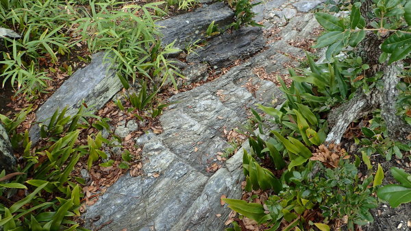 c0367107_15013329.jpg