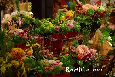 和花も洋花も Ramb S Ear ラムズイヤー 和花も洋花も Ramb S Ear ラムズイヤー