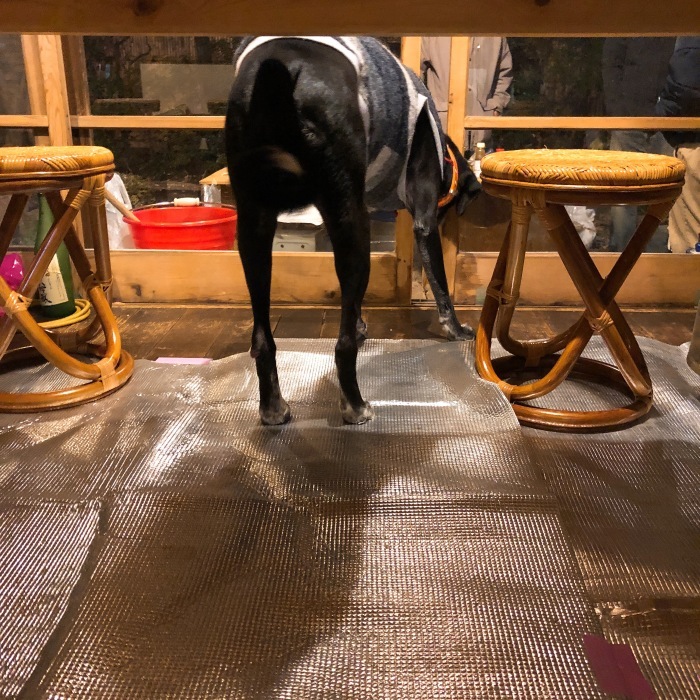 d0138811_20001292.jpeg
