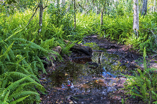 c0148812_10523132.jpg