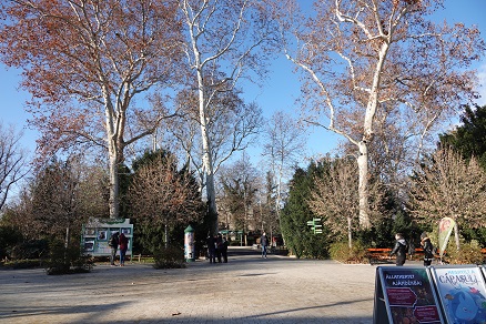 a0151913_444490.jpg