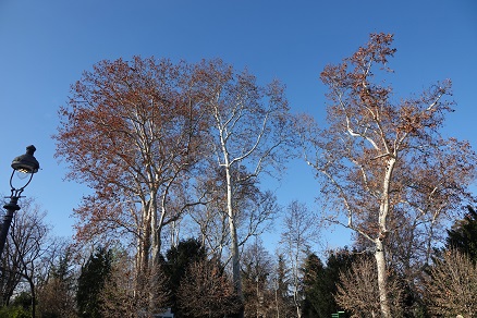 a0151913_67858.jpg