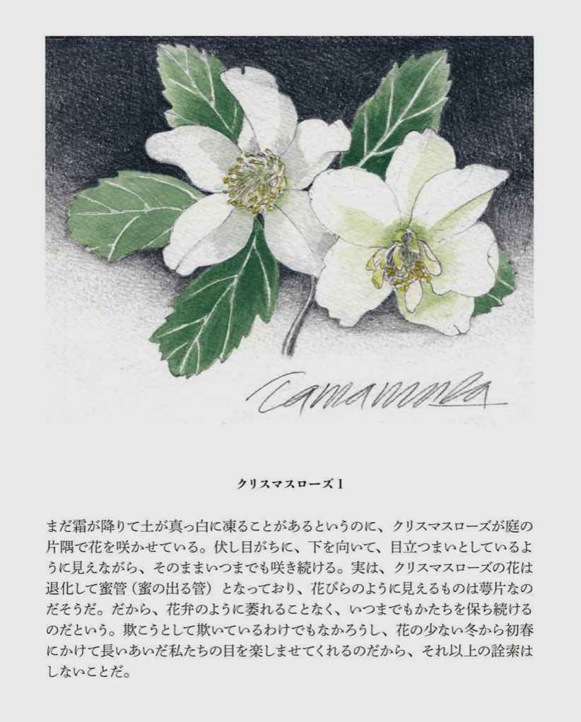 12月30日のtwitter_c0025115_22352947.jpg