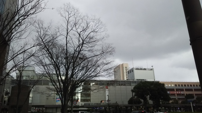 みぞれが降り始めました_e0094315_14004141.jpg