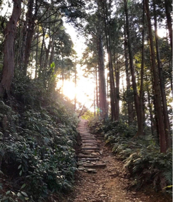 2018年もありがとうございました! そして・・・ご挨拶です。_a0315420_22055901.jpg