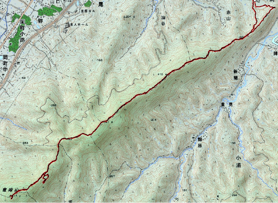 f0193521_47686.jpg
