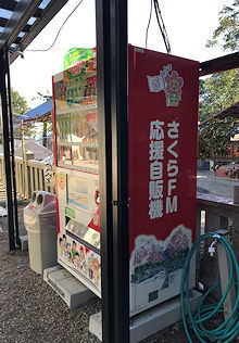 朝のキャッチボール_e0103024_21303145.jpg