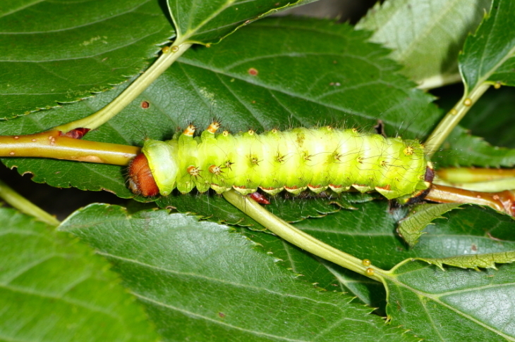 e0337826_22144306.jpg