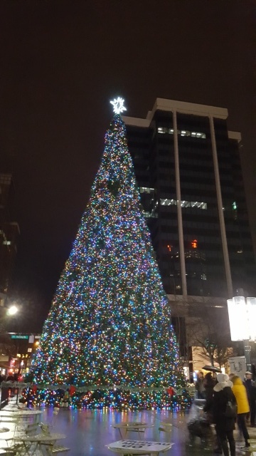 b0221428_04545156.jpg