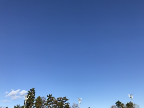 c0345631_15052283.jpeg
