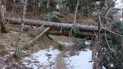 c0108034_15560468.jpg