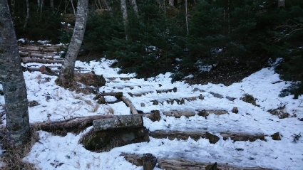 c0108034_15583400.jpg