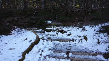 c0108034_15593924.jpg