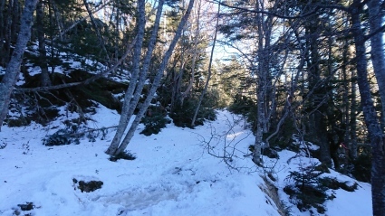 c0108034_16035738.jpg