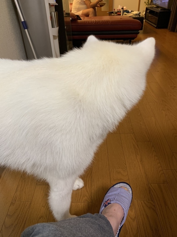 e0364035_20090430.jpeg