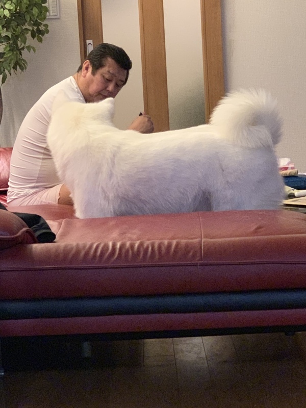 e0364035_20110652.jpeg